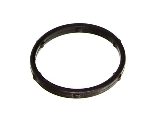 9805583380 Citroen/Peugeot Gasket