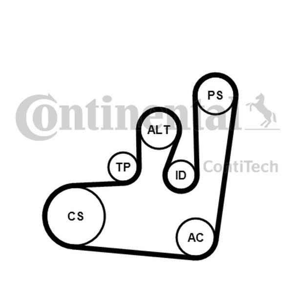 Drive belt kit Seat: 6PK1145K1 Contitech Drive belt kit