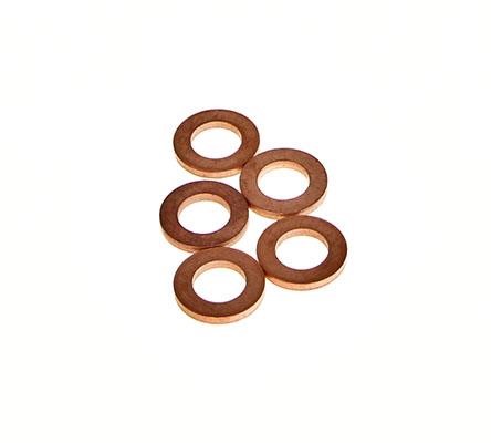 9001850J Delphi Fuel injector O-ring