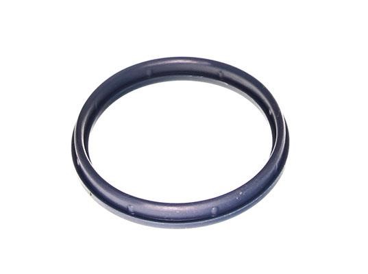 Engine intake manifold gasket Ford: DRM02220 Dr.Motor Intake manifold housing gasket