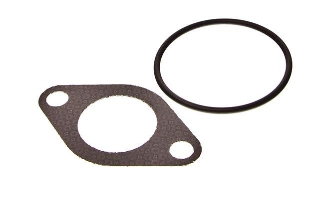 Gasket Audi A4: 934760 Elring AGR gaskets, kit