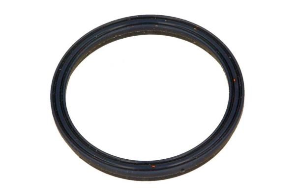 Air intake manifold gasket Ford Transit: 2S7Q6P077AA Ford Intake manifold gasket