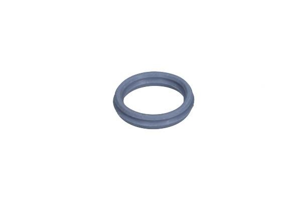 3699184 Ford Gasket