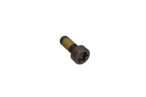 1713793 Ford Bolt