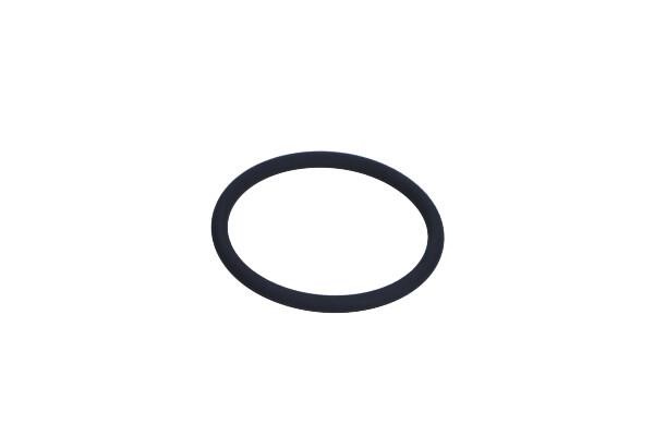 90298310 General Motors O-ring