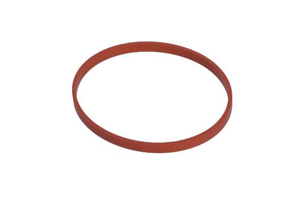 1471900Q1D Nissan O-ring