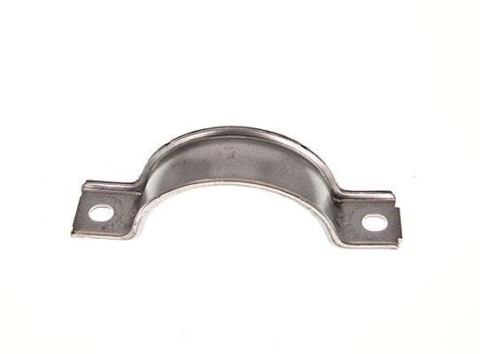 4559309 Ford Shackle