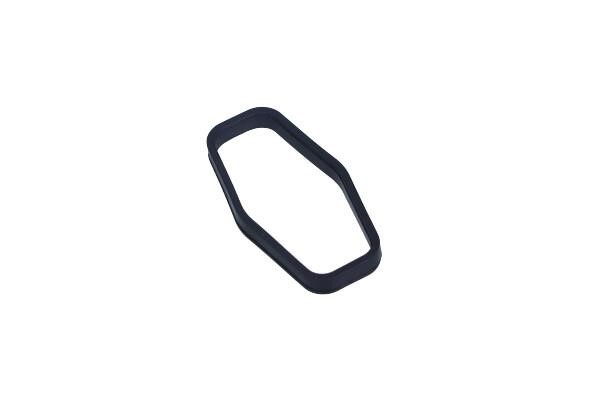 1145960 Ford Oil pump gasket