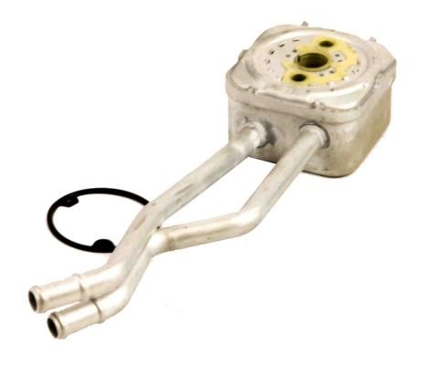 Oil Cooler Volkswagen Bora: 140099 Maxgear Oil cooler