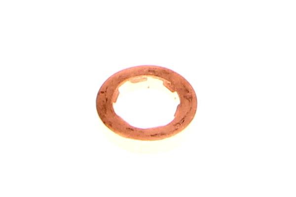 700441 Maxgear Seal Ring, injector
