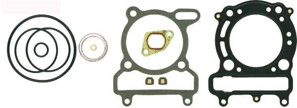 100689160 RMS Full Gasket Set, engine
