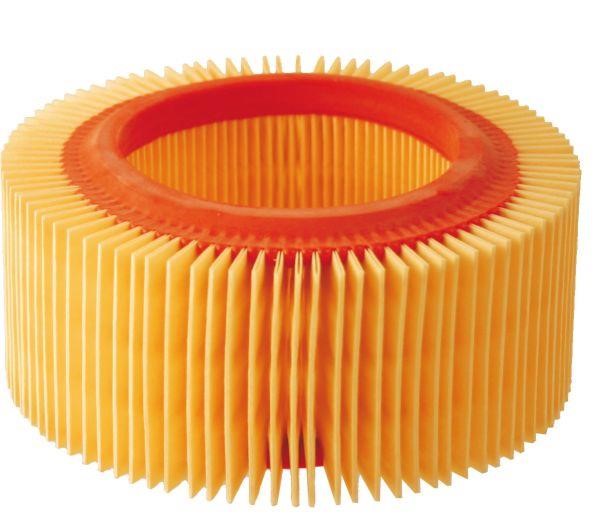 100600620 RMS Air filter