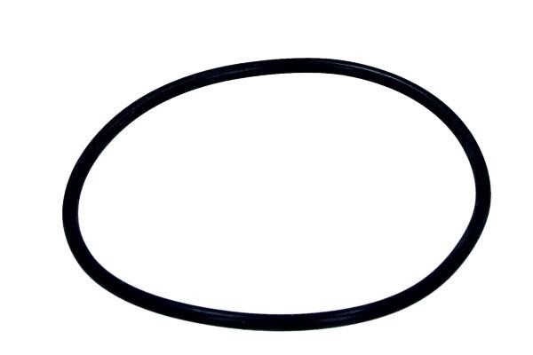 N91077901 VAG O-ring