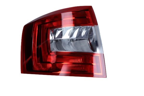 2021101141 Visteon Combination Rearlight