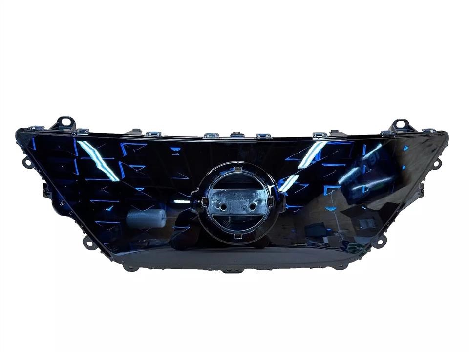Radiator grill Nissan: 620725SK0B Nissan Grille radiator