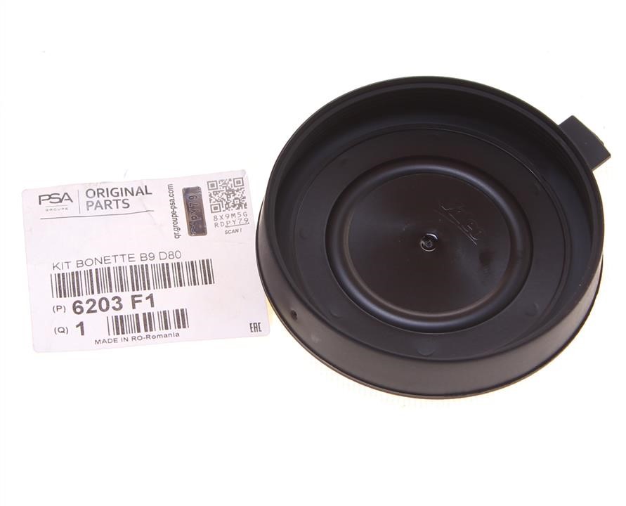 Buy Citroen/Peugeot 6203 F1 at a low price in United Arab Emirates!