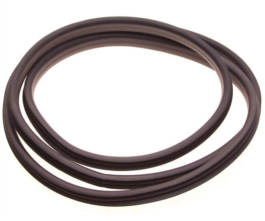 808321804R Renault Door seal