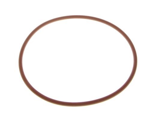 17291481 Iveco O-ring