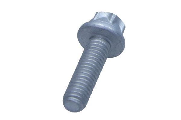 11095001 General Motors Bolt
