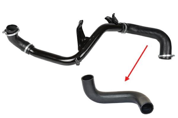 IBRAS 19948 Intercooler pipe 19948 19948 IBRAS Intercooler pipe
