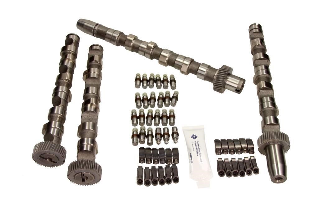 Camshaft Audi: 428003830 INA Camshaft set