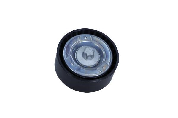 532079810 INA Idler Pulley