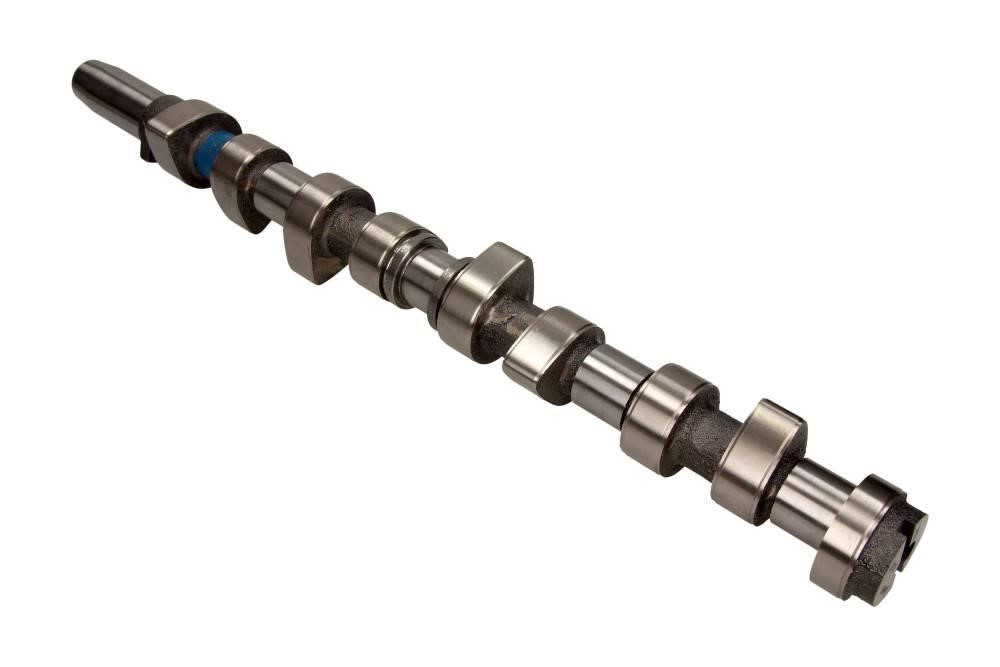 Camshaft Ford Focus: 50007029 Kolbenschmidt Camshaft