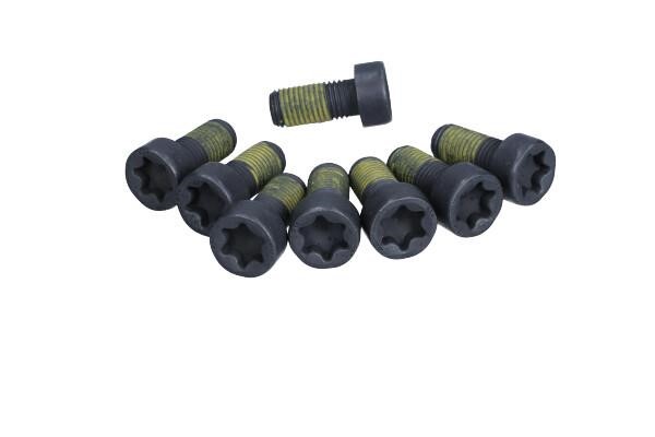 411019910 Luk Flywheel mounting bolts, kit