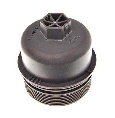 Engine lubrication system Ford: 173145 febi Oil Filter Housing Cap