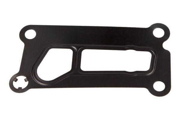 1119853 Ford Oil pump gasket
