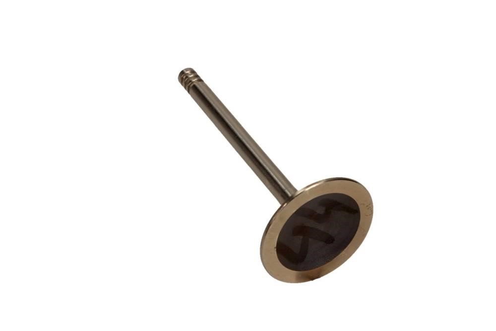 Inlet valve engine Audi 80: R4806S Freccia Intake valve
