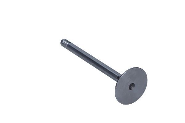 R4964S Freccia Intake valve