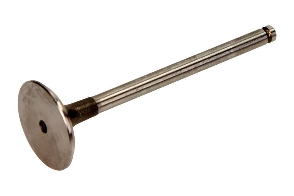 Intake valves Renault Master: R4973S Freccia Intake valve