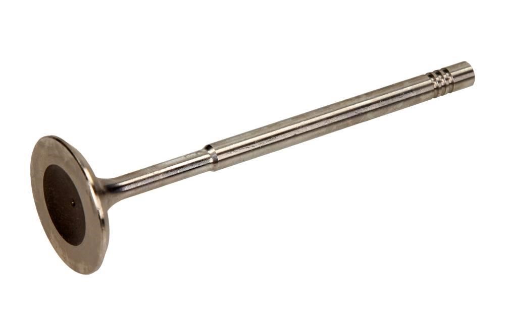 Intake valves Audi A2: R6013S Freccia Intake valve