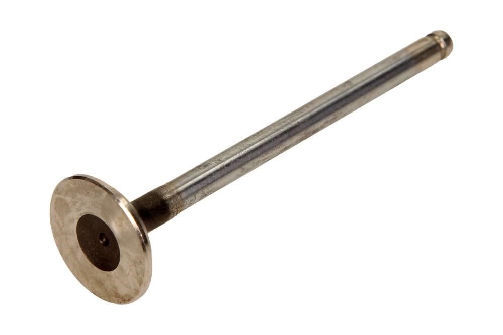 R4231RCR Freccia Exhaust valve