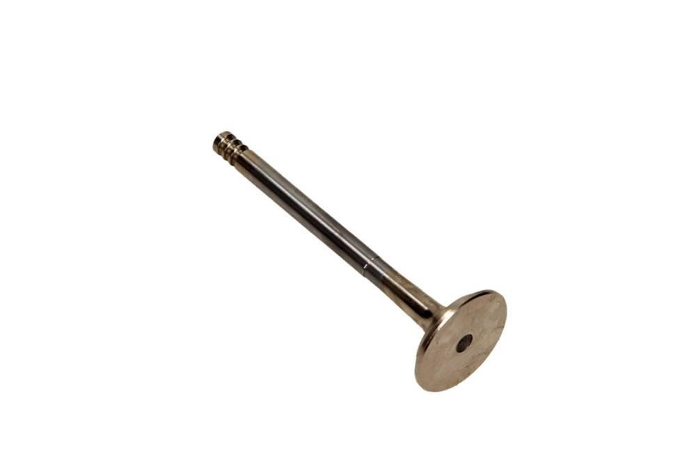 R6037RCR Freccia Exhaust valve