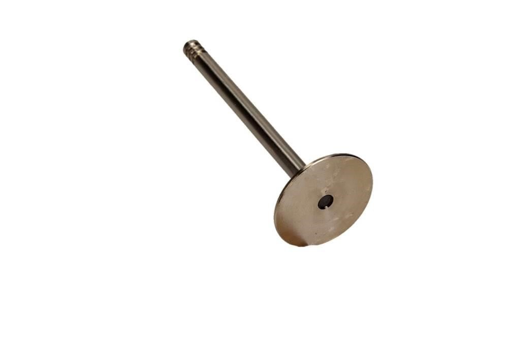 Inlet valves Audi A4: R6087S Freccia Intake valve