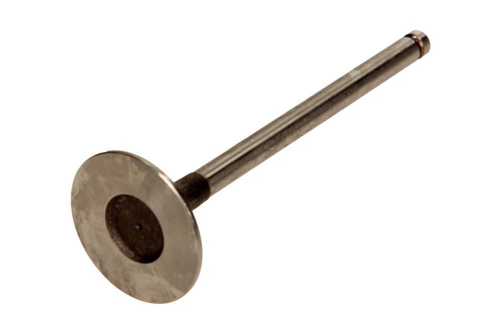 R6110S Freccia Intake valve