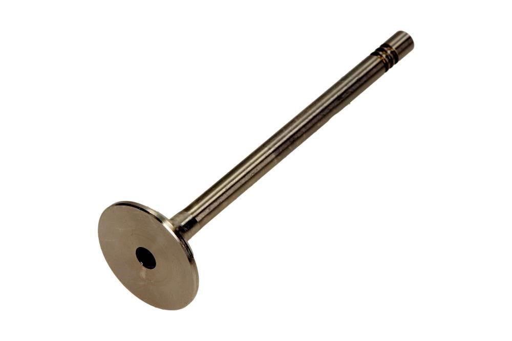 R6198BM Freccia Exhaust valve