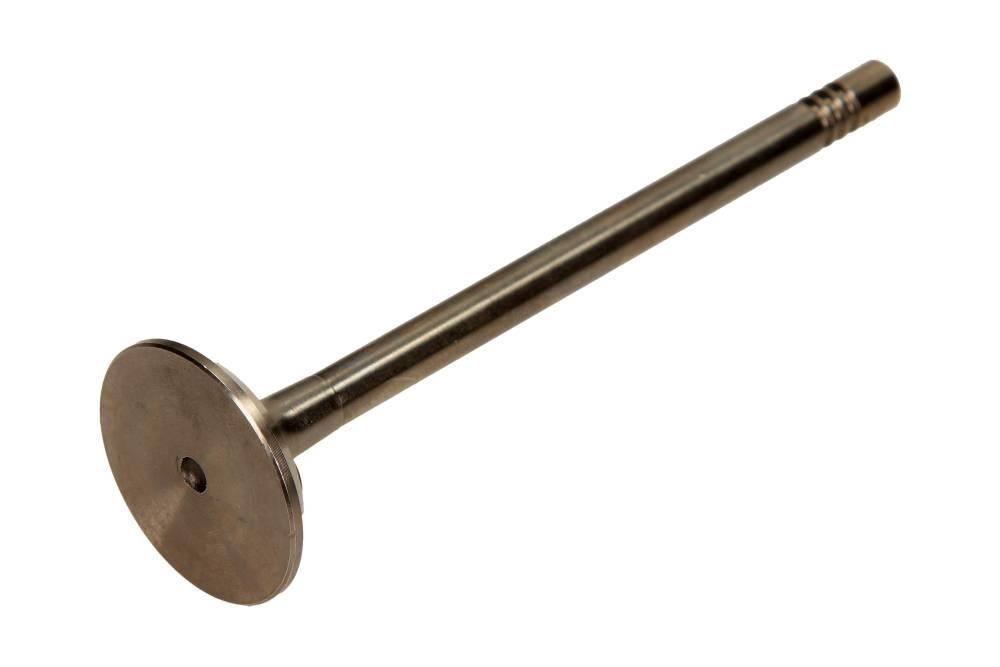 PVWG036B0N AMP Exhaust valve