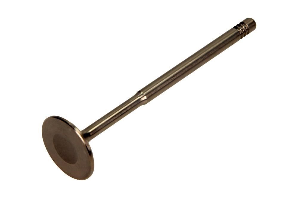 PAUD001S0N AMP Intake valve