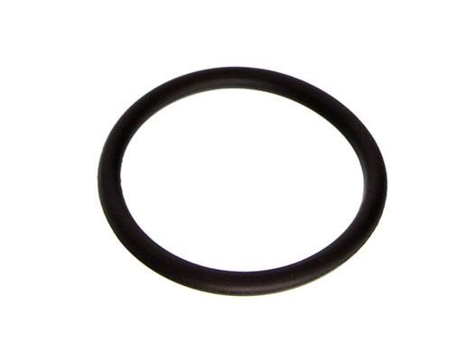 11128510539 BMW O-ring