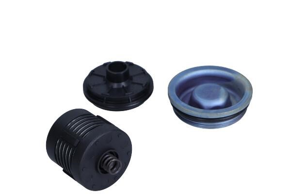 DS120456 BorgWarner (AWD) Hydraulic Filter, all-wheel-drive coupling