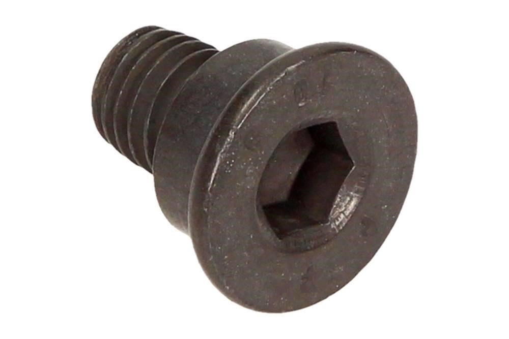 34211161806 BMW Bolt