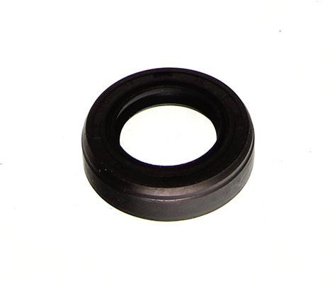 B17828 Borsehung Gearbox oil seal