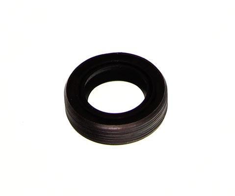 B17837 Borsehung Seal Ring