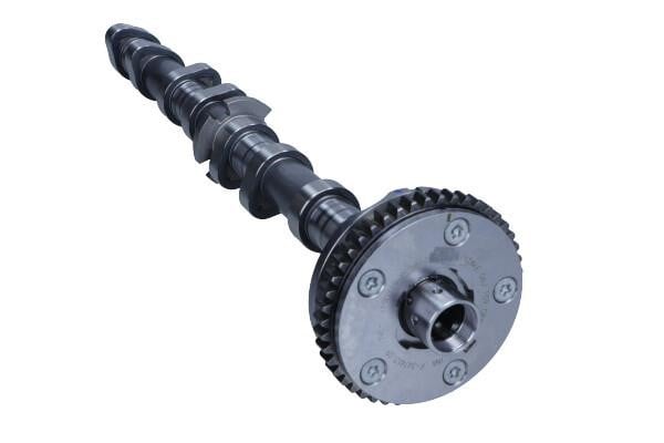 B18979 Borsehung Camshaft in