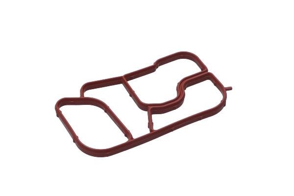 B19249 Borsehung Oil cooler gasket