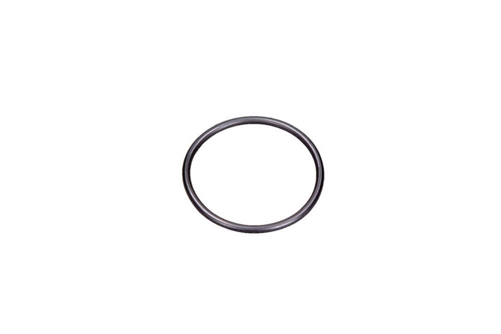 F01M100114 Bosch Ring