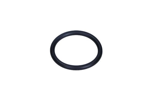 134089 Citroen/Peugeot O-ring